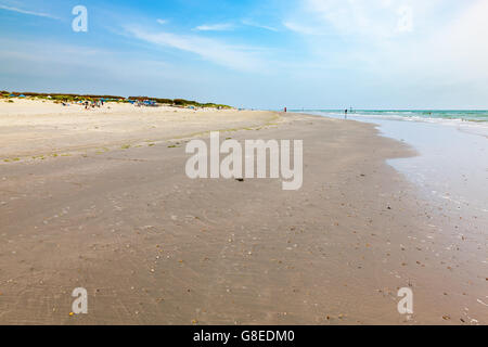 La splendida spiaggia di sabbia dorata di West Wittering West Sussex England Regno Unito Europa Foto Stock