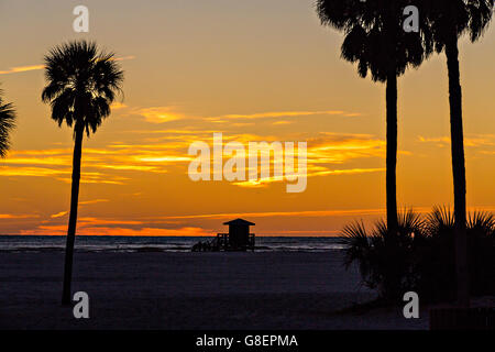 Tramonto sulla Siesta Key beach lungo il Golfo del Messico di Sarasota in Florida. Foto Stock