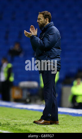 England Coach Gareth Southgate durante la partita di qualificazione del Campionato europeo UEFA Under 21 all'Amex Stadium di Brighton. PREMERE ASSOCIAZIONE foto. Data immagine: Lunedì 16 novembre 2015. Vedi PA storia CALCIO Inghilterra U21. Il credito fotografico dovrebbe essere: Gareth Fuller/PA Wire. L'USO EDITORIALE È soggetto ALLE restrizioni fa. Uso commerciale solo previo consenso scritto della fa. Nessuna modifica tranne il ritaglio. Chiamare il numero +44 (0)1158 447447 o visitare il sito Web www.paphotos.com/info/ per le restrizioni complete e ulteriori informazioni. Foto Stock