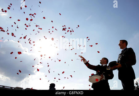 Due militari con alcuni dei papaveri caddero sul Mall, da un bombardiere Lancaster dal RAF Battle of Britain Memorial Flight. Foto Stock