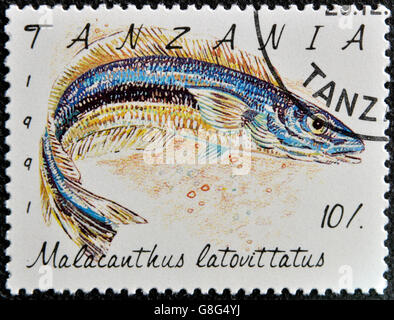 TANZANIA - circa 1991: un timbro stampato in Tanzania mostra Malacanthus latovittatus, circa 1991 Foto Stock