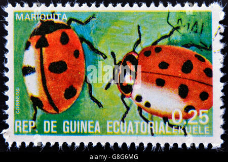 GUINEA EQUATORIALE - circa 1973: timbro stampato in Guinea dedicata alla mostra di insetti ladybug, circa 1973 Foto Stock