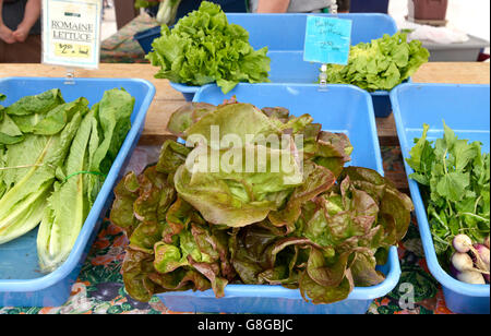 La lattuga, il Mercato degli Agricoltori, Tucson, Arizona, Stati Uniti. Foto Stock