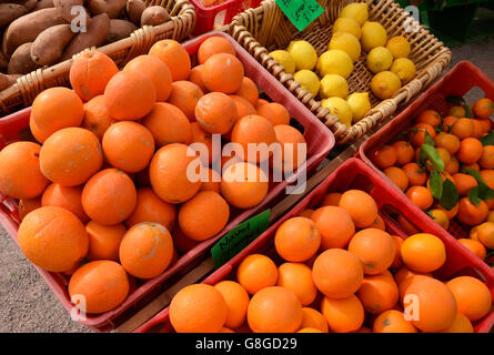 Gli agrumi, il Mercato degli Agricoltori, Tucson, Arizona, Stati Uniti. Foto Stock