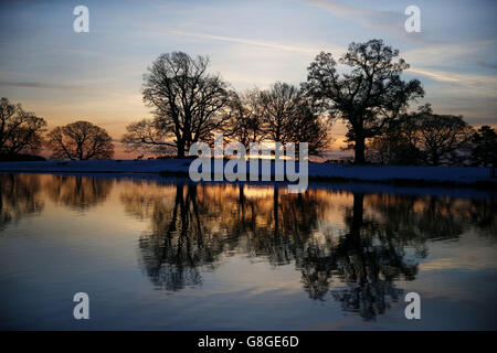 Cervi vagano per i terreni del Castello di Raby nella contea di Durham. Foto Stock