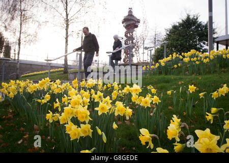 Le persone che camminano oltre i narcisi in fiore di fronte alla scultura dell'orbita ArcelorMittal al Queen Elizabeth Olympic Park a Stratford, a est di Londra, come il Regno Unito potrebbe essere fissato per il dicembre più caldo in quasi 70 anni, quando le temperature del 16C lasciarono i Britannici Sweltering. Foto Stock