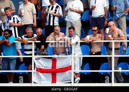 Calcio - Intertoto Cup - Terzo Round - Prima tappa - FK ZTS Dubnica v Newcastle United - Centralny Stadium Foto Stock