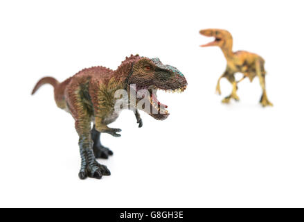 Tyrannosaurus e velociraptor su sfondo bianco Foto Stock