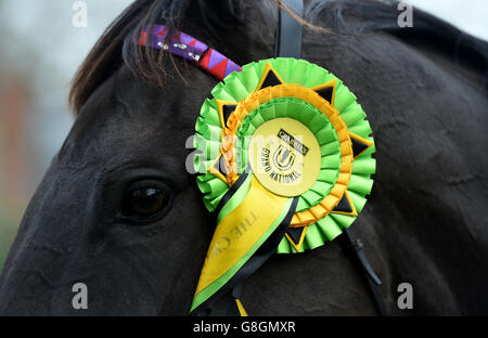 Vista dettagliata della rosetta vincente su 2015 Crabbies Grand National Winner Many Clouds, mentre è guidato in giro per il cortile durante una giornata di media alle scuderie di Oliver Sherwood a Lamburn. PREMERE ASSOCIAZIONE foto. Data immagine: Martedì 1 dicembre 2015. Guarda la storia di Sherwood. Il credito fotografico dovrebbe essere: Andrew Matthews/PA Wire Foto Stock