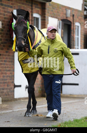 Oliver Sherwood visita stabile Foto Stock