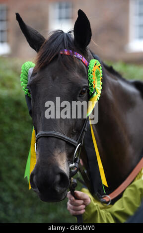 2015 Crabbies Grand National Winner molte nuvole è condotto intorno al cortile durante una giornata di media a Oliver Sherwood's Stables a Lamburn. PREMERE ASSOCIAZIONE foto. Data immagine: Martedì 1 dicembre 2015. Guarda la storia di Sherwood. Il credito fotografico dovrebbe essere: Andrew Matthews/PA Wire Foto Stock