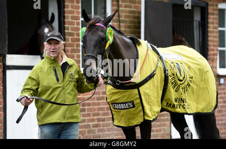 Oliver Sherwood visita stabile Foto Stock