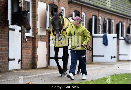 Oliver Sherwood visita stabile Foto Stock