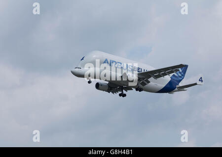 Amburgo, Germania - 27 Giugno 2016: Un Beluga Supertransporter atterraggio all'impianto di Airbus di Amburgo Finkenwerder Foto Stock