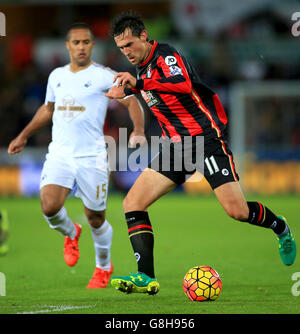 Swansea City / AFC Bournemouth - Barclays Premier League - Liberty Stadium. Charlie Daniels, AFC Bournemouth. Foto Stock