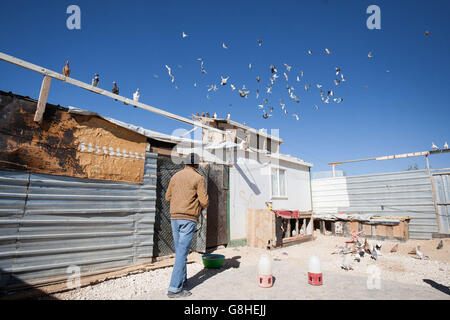 Crisi di migranti Foto Stock