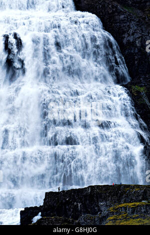 Cascate Dynjandi (noto anche come Fjallfoss), Westfjords, Islanda, l'Europa. Foto Stock