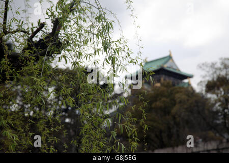 Si tratta di una foto del castello di Osaka in Giappone durante la stagione primaverile. Possiamo vedere un salice piangente in primo piano Foto Stock