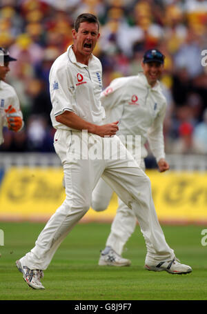 Ashley Giles dell'Inghilterra celebra la presa del wicket del capitano dell'Australia Ricky Ponting Foto Stock