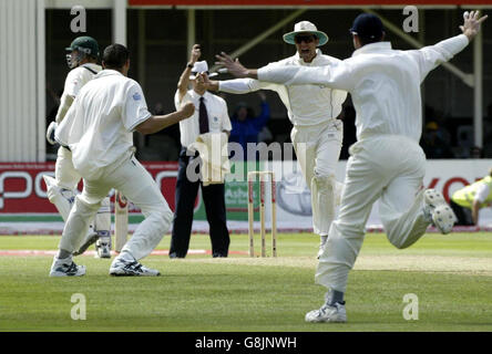 Il capitano dell'Inghilterra Michael Vaughan (seconda a destra) corre al bowler Steve Harmison (seconda a sinistra) dopo aver preso l'ultimo wicket dell'australiano Michael Kasprowicz catturato dietro dal wicketkeeper Geraint Jones durante il quarto giorno.