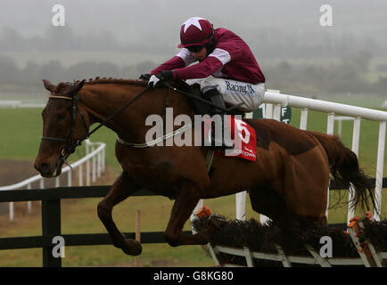 Boylesports legato Cottage Chase giorno - Punchestown Gare Foto Stock