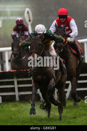 Boylesports legato Cottage Chase giorno - Punchestown Gare Foto Stock