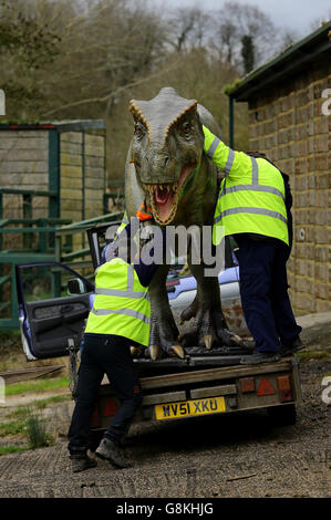 Consegna di dinosauri a Port Lympne Wild Animal Park Foto Stock