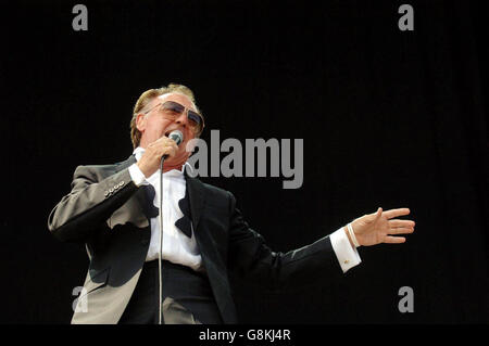 VFestival - Hylands Park Foto Stock