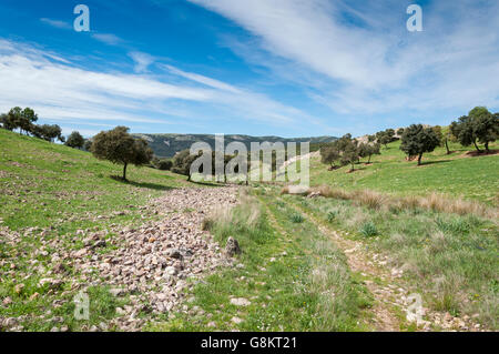 Strada sterrata in montagne di Toledo, Ciudad Real Provincia, Spagna Foto Stock