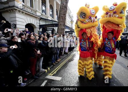 I ballerini leoni prendono parte alla sfilata cinese di Capodanno lungo Charing Cross Road, Londra, per celebrare l'inizio dell'anno della scimmia. Foto Stock