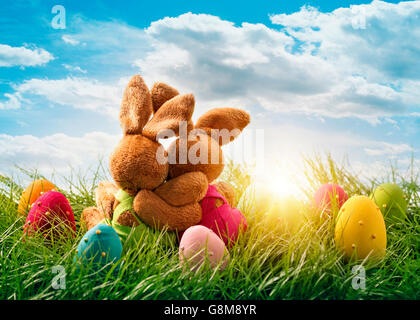 Due conigli di Pasqua seduto sull'erba Foto Stock