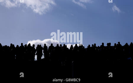 Una vista generale dei corridori sulla passerella a mezzaluna durante il Festival Trials Day all'Ippodromo di Cheltenham. Foto Stock