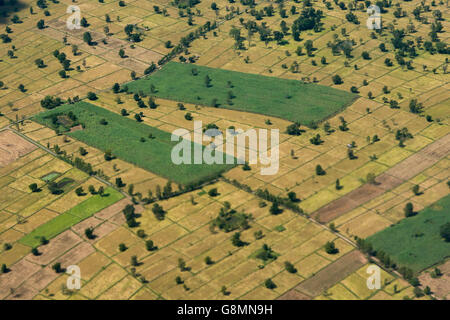 Il paesaggio e i campi nei pressi della città di Buri Ram in Isan in Thailandia. Foto Stock