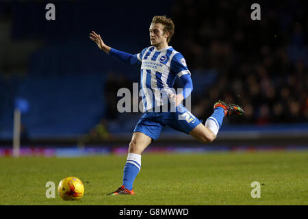 Brighton e Hove Albion v Brentford - Sky scommessa campionato - AMEX Stadium Foto Stock