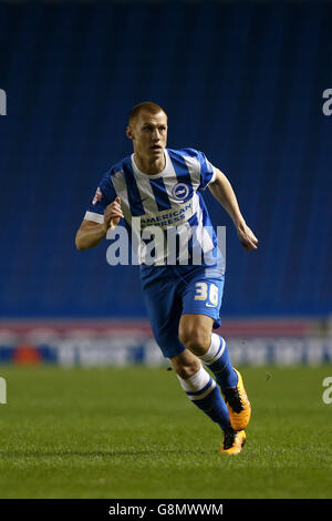 Brighton e Hove Albion contro Brentford - Sky Bet Championship - AMEX Stadium. Steve Sidwell di Brighton e Hove Albion Foto Stock