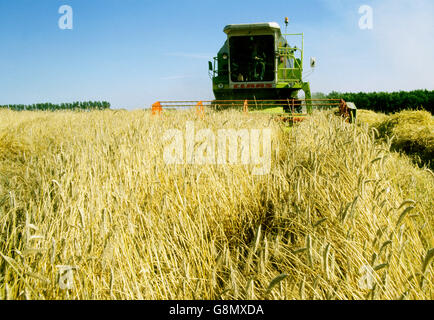 Combinare il lavoro del raccolto Foto Stock