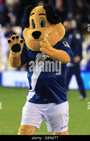 Birmingham City v Bolton Wanderers - Sky scommessa campionato - St Andrews Foto Stock