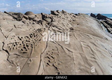 Bizzarro rock e formazioni coralline in Taiwan Foto Stock