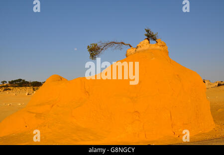 Calcare uniche formazioni rocciose che si elevano fino al di fuori della sabbia nel Deserto Pinnacles nel Nambung National Park in Australia Occidentale Foto Stock