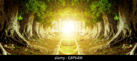 Via oscura all'interno del tunnel di alberi con luce alla fine Foto Stock