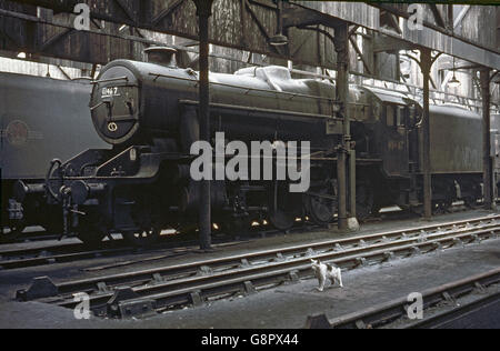 Capannone Patricroft cat con 8F n. 48467 Sabato, 27 luglio 1968. Foto Stock