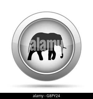 Icona di elefante. Pulsante Internet su sfondo bianco. Foto Stock