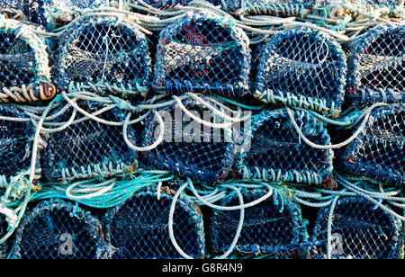 Aragosta, cray e granchio bicchieri impilati sul molo di Portmagee nella Contea di Kerry Irlanda, Europa. Foto Stock