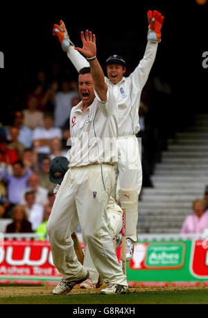 L'inglese Ashley Giles si appella senza successo per il wicket dell'Australia Ricky Ponting durante il terzo giorno della quinta prova di npower al Brit Oval, Londra, sabato 10 settembre 2005. PREMERE ASSOCIAZIONE foto. Il credito fotografico dovrebbe essere: Rui Vieira/PA. Foto Stock