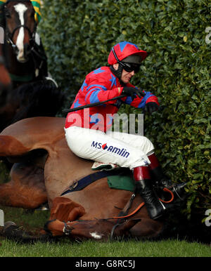 2016 Cheltenham Festival - Ladies Day - Cheltenham Racecourse Foto Stock