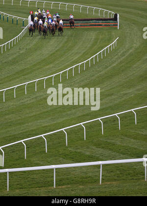 Corridori e piloti nel 146th Year of the National Hunt Chase Challenge Cup durante il Champion Day al Cheltenham Festival 2016 all'ippodromo di Cheltenham. Foto Stock