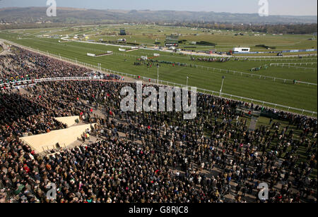 Corridori e corridori nella finale di Pertemps Network durante il giovedì di San Patrizio al Cheltenham Festival 2016 all'ippodromo di Cheltenham. Foto Stock