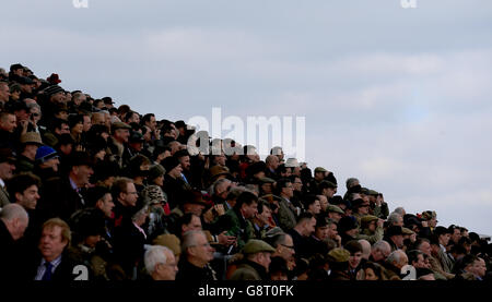 2016 Festival di Cheltenham - Giornata delle Signore - Ippodromo di Cheltenham. La folla nel Princess Royal Stand durante il Ladies Day al Cheltenham Festival del 2016 all'ippodromo di Cheltenham. Foto Stock