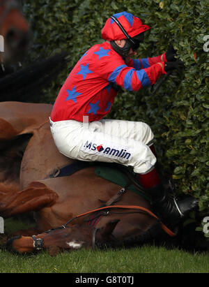 Re Balthazar guidato dal fantino Richard Johnson cade durante il Glenfarclas Chase durante il Ladies Day del Cheltenham Festival 2016 all'ippodromo di Cheltenham. Foto Stock