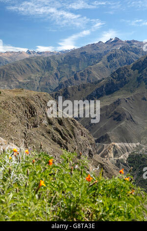 Vista sulle montagne dal sentiero vicino alla croce del Condor si affacciano, il Canyon del Colca, Arequipa, Perù Foto Stock